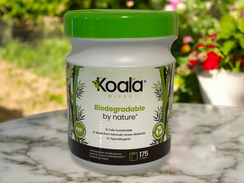 6 tubs of Koala biodegradable antibacterial wipes on a marble surface with greenery.