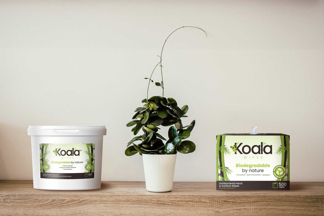 Koala® 800 Sheet XL Biodegradable & Compostable Bucket Wipes: All-Natural Germ-Killing Power for Hands & Surfaces - Grange Europe Ltd - Online Store